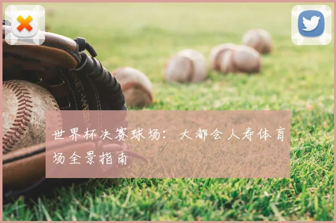 世界杯决赛球场：大都会人寿体育场全景指南