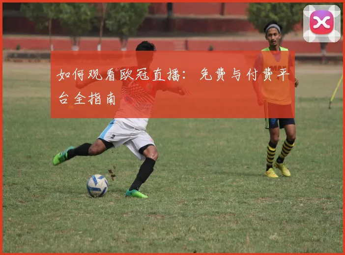 如何观看欧冠直播：免费与付费平台全指南