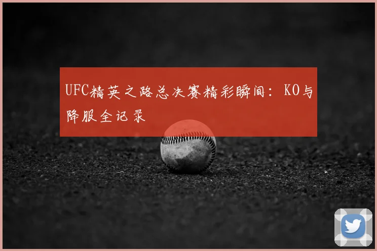 UFC精英之路总决赛精彩瞬间：KO与降服全记录