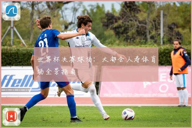 世界杯决赛球场：大都会人寿体育场全景指南
