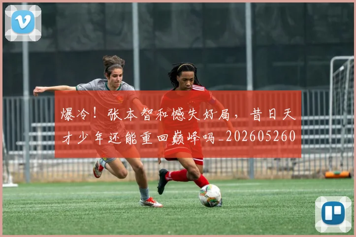 爆冷！张本智和憾失好局，昔日天才少年还能重回巅峰吗_20260526085344