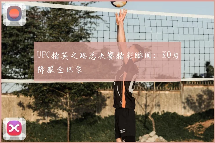 UFC精英之路总决赛精彩瞬间：KO与降服全记录